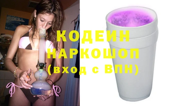 шишки Коряжма