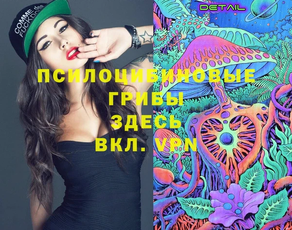 индика Кодинск