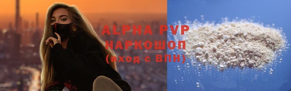 шишки Коряжма