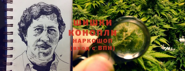индика Кодинск