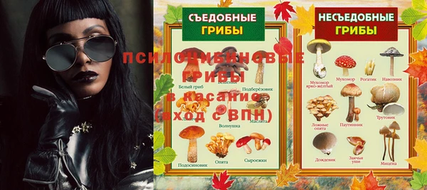 шишки Коряжма