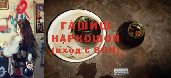 шишки Коряжма