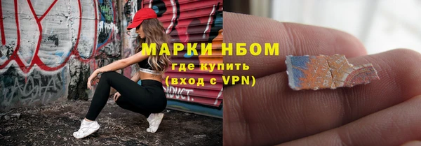шишки Коряжма