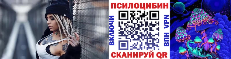 Псилоцибиновые грибы мицелий blacksprut ссылка Михайловка хочу